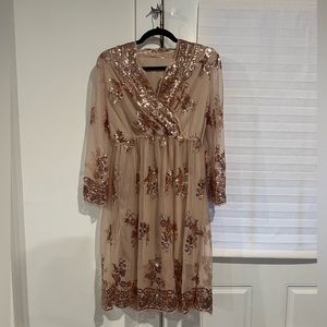 Knee Length Sequined Dress